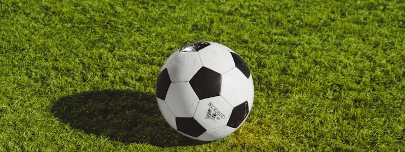 亚洲盘口赔率深度分析与水位变化示意图